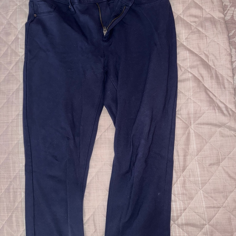 CALVIN KLIEN Stylish Navy Blue Pants